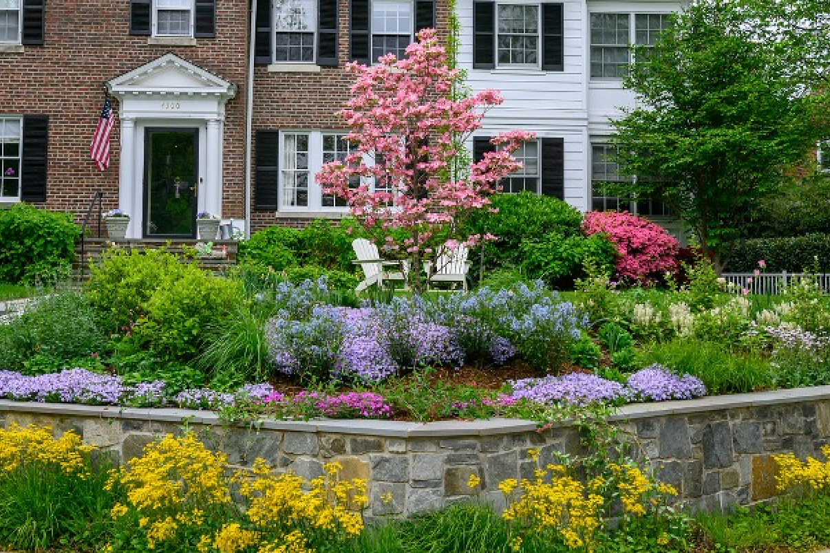 planting plans for front of house Haven Native Plant Garden (300SF) – Backyard Bounty